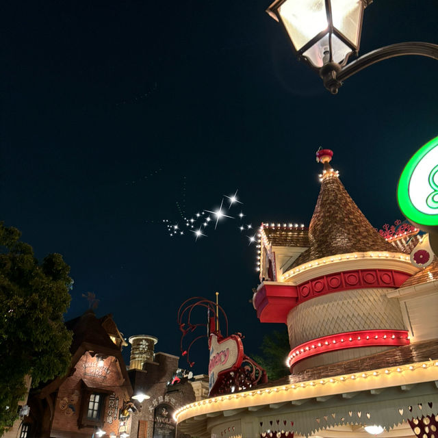 [🇨🇳 Shanghai]🐭🌸Disneyland – Magic After Dark