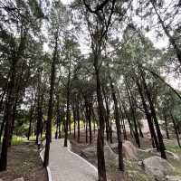 🏔️ Tai’an — The City Guarding the Sacred Mount Tai