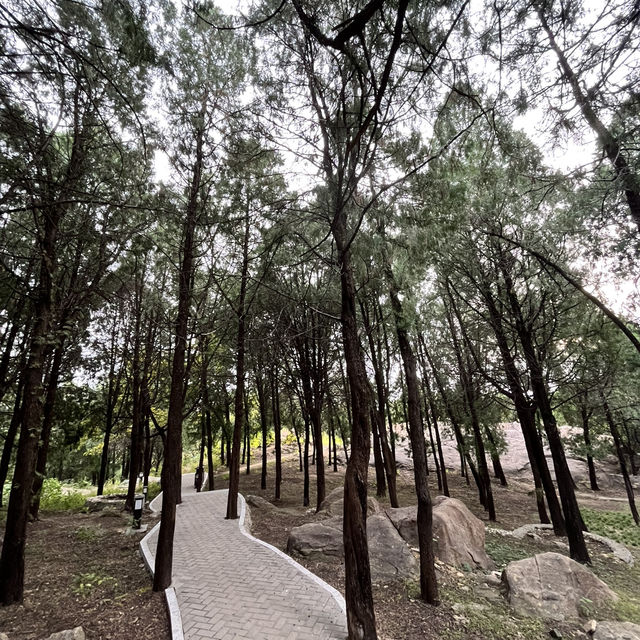🏔️ Tai’an — The City Guarding the Sacred Mount Tai