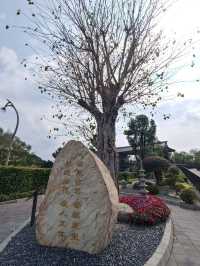 佛國淨土與落羽松秘境交織的南投中台禪寺