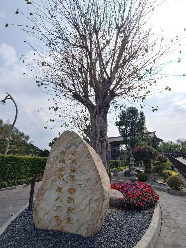 佛國淨土與落羽松秘境交織的南投中台禪寺