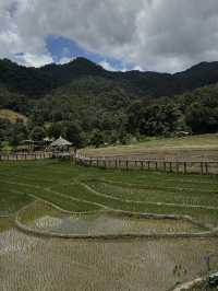 Chiang Mai 5 Days Itinerary