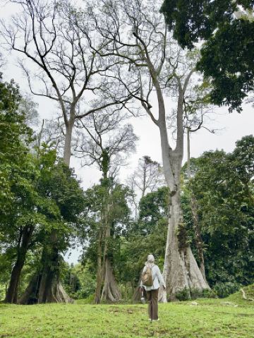慕阿羅占碑廟群