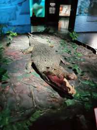 “Borneo Cultures Museum: A Grand Showcase of Sarawak Heritage”