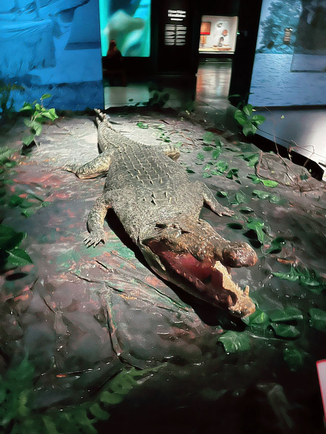 “Borneo Cultures Museum: A Grand Showcase of Sarawak Heritage” “Borneo Cultures Museum: A Grand Showcase of Sarawak Heritage”