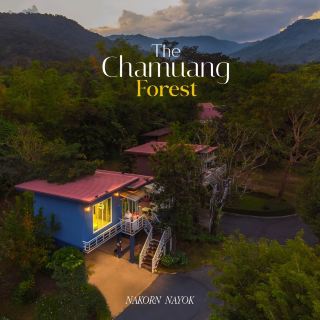 พูลวิลล่าบ้านไม้นครนายก "The Chamuang Forest"