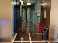 南雄吉悦酒店巨型熊打卡新熱點🐻 11月内地游