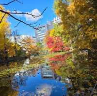 札幌人氣地標秋意盎然 打卡必去✨️
