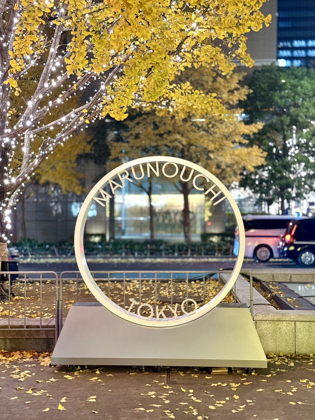 A night stroll through glowing art & lights A night stroll through glowing art & lights