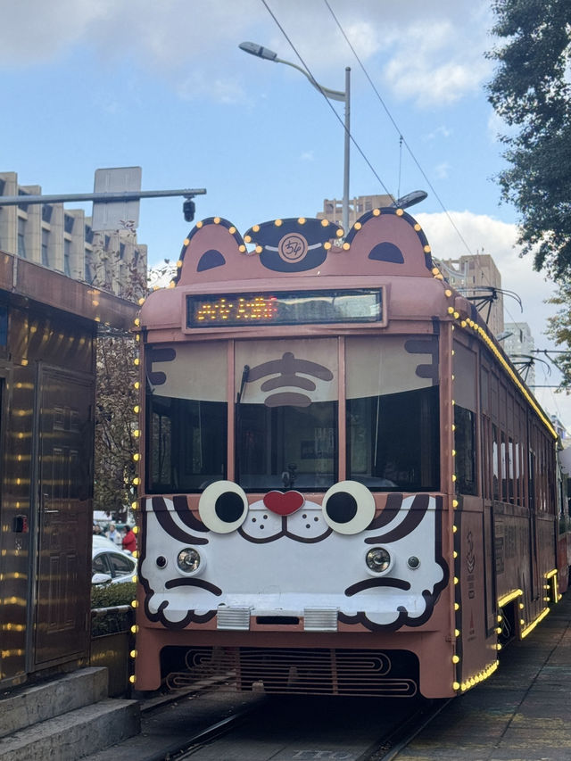 🇨🇳 รีวิวทริปสุดขั้ว! 5 เมืองจีน 15 วัน