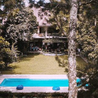 Nature-Lover’s Dream Stay: Cozy Hotel Review 🏡🌲