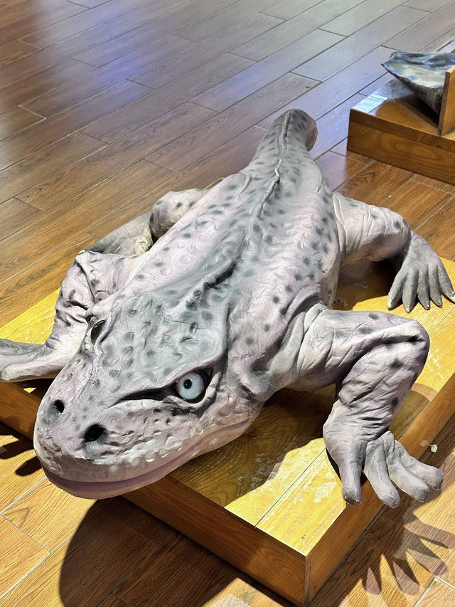 🌿 Vietnam National Museum of Nature — Exploring Vietnam’s Natural Wonders 🌿 Vietnam National Museum of Nature — Exploring Vietnam’s Natural Wonders