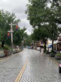 전주 따릉이 여행 코스 🚲