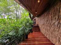 Phuket’s Three Monkeys Restaurant: Jungle Vibes & Tom Yum Delights 🍲🌴