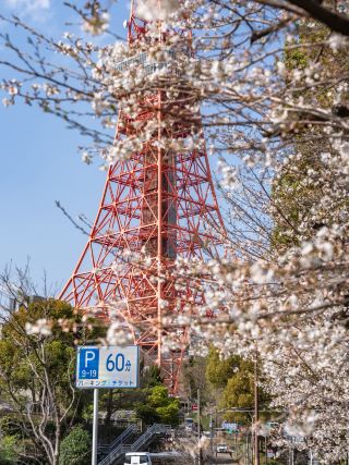 分享東京鐵塔的代表性位置