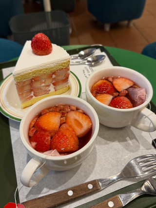 🌵 A green oasis in the city! Sharosugil Daily Oasis 🍦