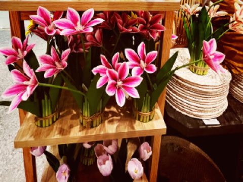 Colourful Feast at Paradise Dynasty AEON Cheras