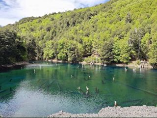 Conguillío National Park Parque Nacional Conguillio
