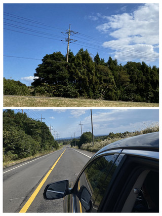 🇰🇷 제주 해안도로, 바람과 함께 달리는 감성 드라이브 🌊🚗💛