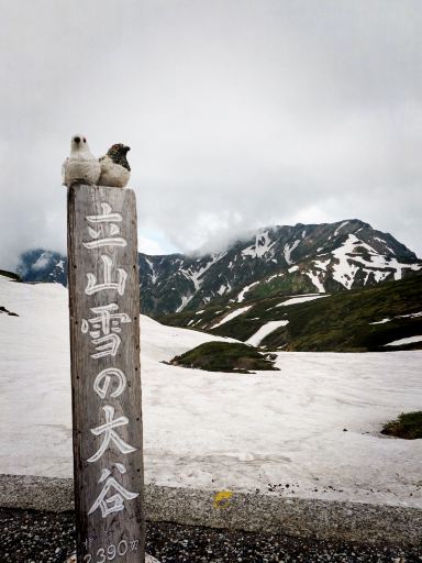 壮大な立山アルペンアドベンチャー：一日で四季を体験