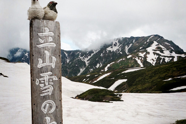 【サボ　愛称板】（表）立 山 TATEYAMA（裏） アルペン ALPINE 壮大な立山アルペンアドベンチャー：一日で四季を体験