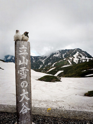 史詩級立山黑部探險：一日體驗四季！。