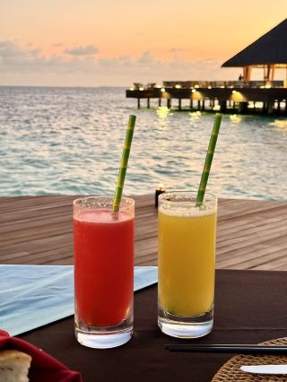 🏝️ 몰디브에서 올인클루시브 패키지가 정말 필요할까요?