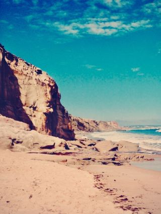  Okinawa Churaumi Aquarium to Cape Manzamo Coral Cliff Sunset Bench — ¥1,850 Tank vs Free Grass Clif