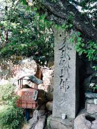 有馬溫泉一日遊♨️🌡️