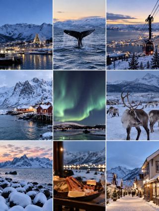 ノルウェー・トロムソ｜北極圏の冬を満喫する完全ガイド ❄️