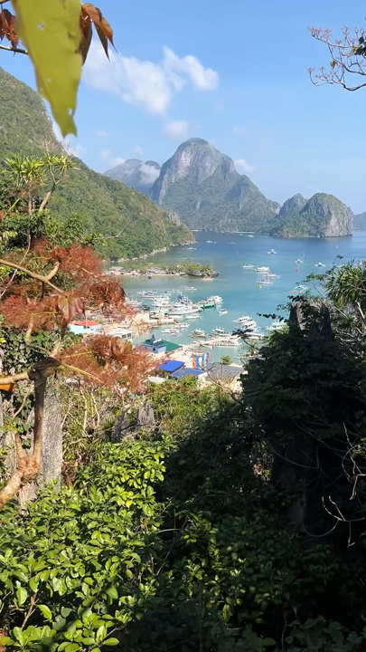 El Nido Via Ferrata Canopy Walk