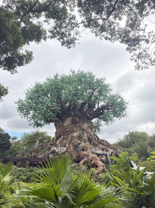 🌿 Công viên Động vật Disney, Orlando 🦁🐘