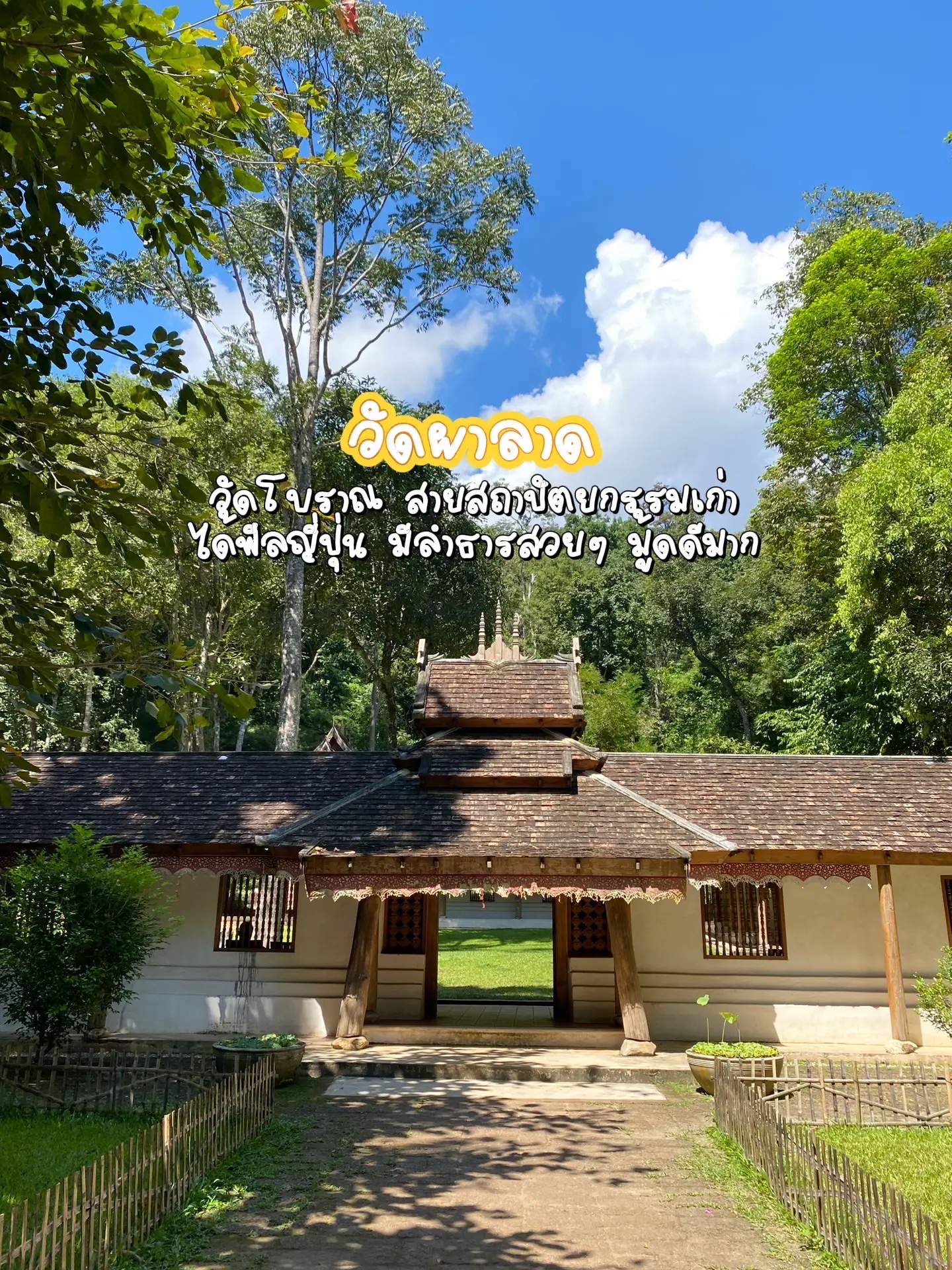 The Ultimate Chiang Mai Travel Guide.