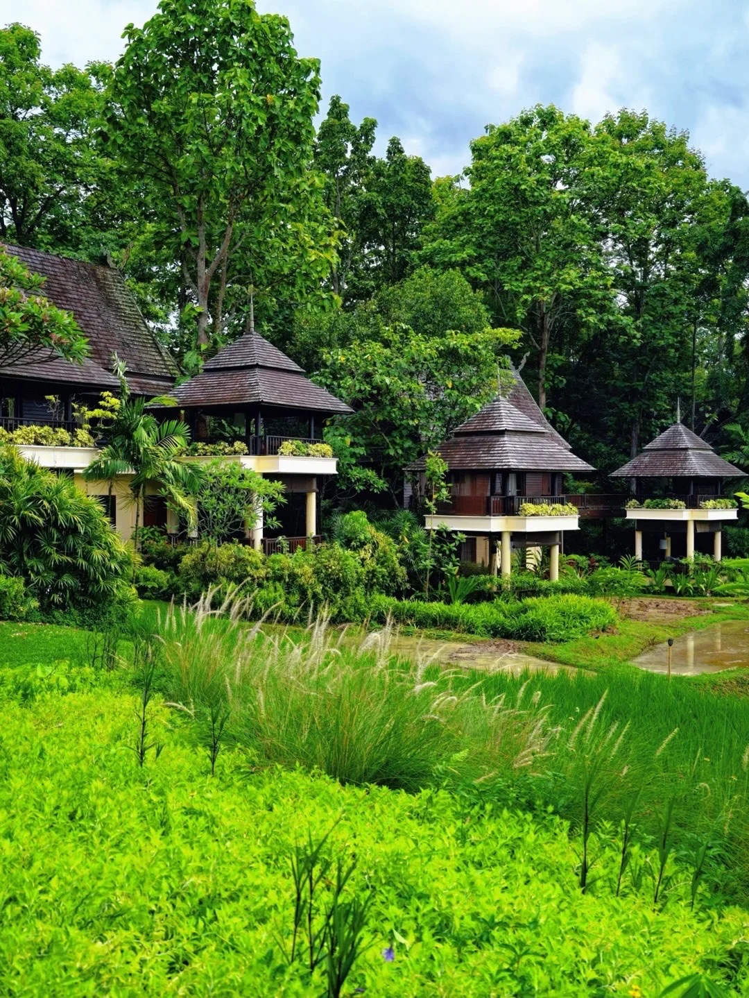 Bạn nào đang lên kế hoạch cho chuyến đi Chiang Mai từ ngày 8 tháng 10 đến ngày 31 tháng 12? Chúng tôi có một ưu đãi tuyệt vời cho kỳ nghỉ tại Four Seasons Resort!

#PhảiGhiLạiĐiềuNày – Sau khi làm việc với khách sạn, chúng tôi cuối cùng đã xác nhận được! Lần này, chúng tôi có giá đặc biệt bao gồm bữa sáng cho hai người, thanh toán khi nhận phòng.

Áp dụng cho cả cuối tuần và ngày lễ! Nếu quan tâm, vui lòng nhắn tin cho chúng tôi với ngày bạn muốn đặt phòng.

🏡 Four Seasons Resort Chiang Mai
Nằm ẩn mình trong khu rừng dưới chân núi Doi Suthep, khu nghỉ dưỡng này là một viên ngọc quý. Bạn có thể tận hưởng khung cảnh tuyệt đẹp của những thửa ruộng bậc thang và chùa chiền kiểu Lanna từ cửa sổ phòng mình – bầu không khí thực sự kỳ diệu! Chỉ mất 20 phút lái xe đến phố cổ (đừng bỏ lỡ Wat Chedi Luang!), hoặc 15 phút đi taxi đến đường Nimmanhaemin, nơi bạn sẽ tìm thấy rất nhiều món ăn đường phố ngon của miền Bắc Thái Lan. Vô cùng thuận tiện!

🛏️ Khu nghỉ dưỡng này có 199 phòng với 8 phong cách khác nhau, mỗi phòng đều có sân hiên hoặc ban công riêng để thư giãn. Được trang trí bằng các họa tiết chạm khắc gỗ kiểu Lanna và bộ đồ giường bằng vải cotton-linen mềm mại, bạn sẽ tận hưởng giấc ngủ thoải mái giữa vẻ đẹp tự nhiên của khu rừng. Đối với các gia đình có trẻ nhỏ, khu nghỉ dưỡng cung cấp đầy đủ tiện nghi, bao gồm nôi, thanh chắn giường và ghế ăn dặm cho trẻ em! ✨

🌱 Khuôn viên khu nghỉ dưỡng giống như một sân chơi giữa thiên nhiên! Trẻ em có thể thỏa sức thử sức với việc trồng lúa hoặc cho trâu ăn. Câu lạc bộ trẻ em cung cấp nhiều hoạt động thú vị như vẽ ô giấy kiểu Lanna hoặc làm rối. Cha mẹ có thể thư giãn và nạp lại năng lượng tại spa. Ngoài ra còn có ba nhà hàng phục vụ các món ăn ngon như cà ri cua Bắc Thái chính gốc và xôi xoài thơm ngon. Thậm chí còn có thực đơn dành riêng cho trẻ em, vì vậy cha mẹ không cần lo lắng nếu con mình kén ăn! 😋
ㅤ
🚩 Các điểm tham quan gần đó
🦋 Trang trại Lan và Bướm — 365 m
🌷 Vườn Thái Mae Rim — 410 m
🐯 Vương quốc Hổ — 1 km
📜 Công viên Giấy Phân Voi — 1,2 km
🛕 Chùa Wat Dara Phirom — 1,2 km
💦 Thác Mae Sa — 4,8 km
- #TháiLan #DuLịchTheoÝMuốn #ChỗỞBíMật #NhữngNgườiYêuThíchChỗỞ #DuLịchNhưNgườiĐịaPhương #NhậtKýDuLịch #NơiNênĐi #NhậtKýDuLịchMuộn