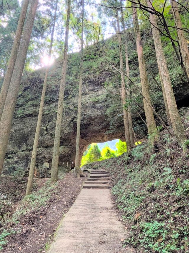 🇯🇵【熊本・阿蘇】上色見熊野座神社のさらに先へ…!