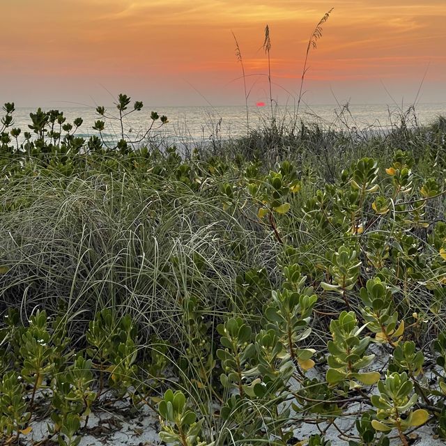 Nothing beats a sunset on Longboat Key, FL!