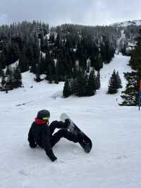 🇨🇭스위스에서 스키타기 ⛷️
