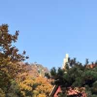 The beauty Panshan