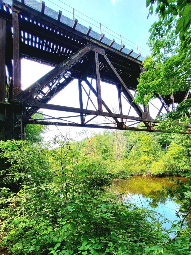 Roots, Rocks, and Rivers: Exploring Grand Ledge’s Hidden Trails