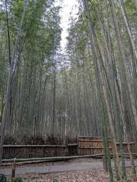 awesome osaka trip