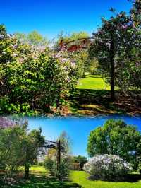 Longenecker horticultural Gardene(朗格內克園藝花園)