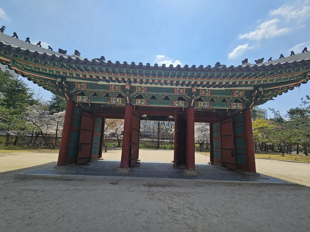 Exploring a Korean palace felt like stepping into history 