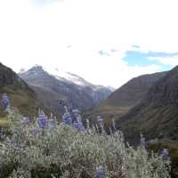 Laguna 69 from Huaraz is must to do 