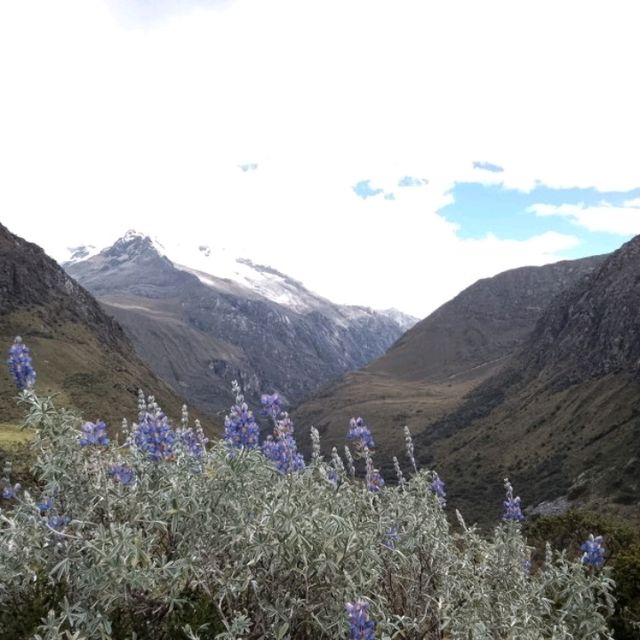 Laguna 69 from Huaraz is must to do 