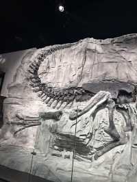 🦕恐竜の聖地！カナダ🇨🇦【ロイヤル・ティレル博物館】