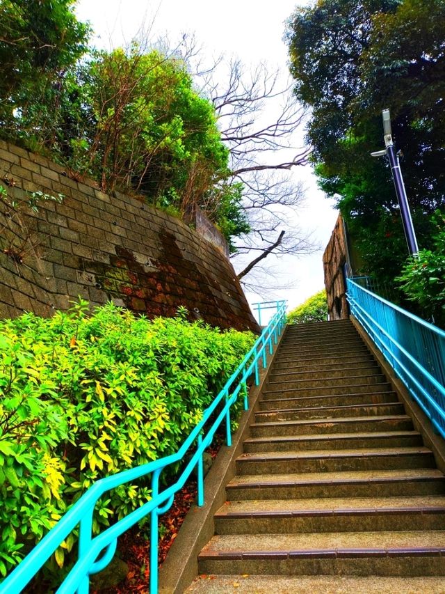 Yokohama Zoological Gardens - Free entrance!
