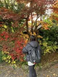 Yufuin at Fukuoka Japan 🍁🍂