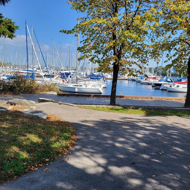 Lakefront Promenade Park in autumn 🇨🇦