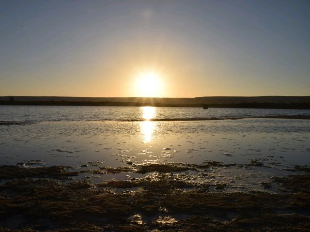 The calm of Bahariya Salt Lake 🇪🇬