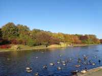 Beggining of autumn in Bródnowski Park 🗺️